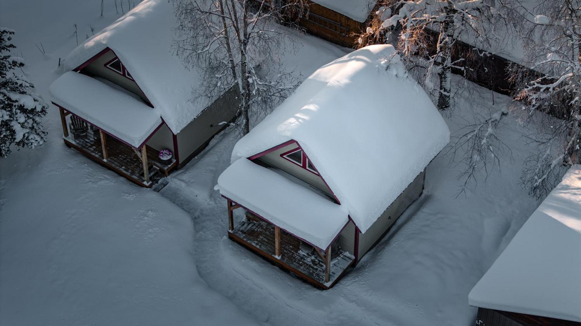 Downtown Talkeetna Cabin! Susitna Cabin Villa Exterior photo